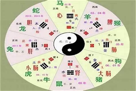 盛五行|盛字的五行属性